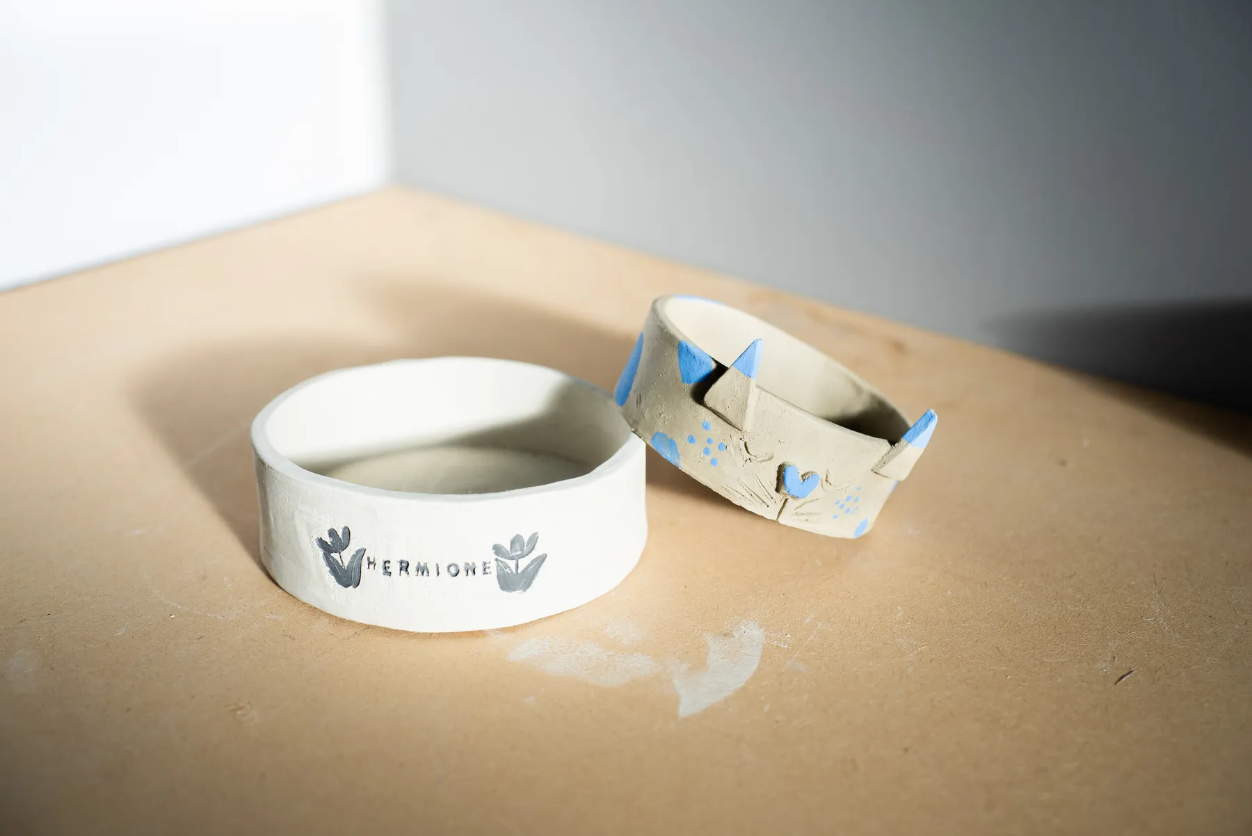 Modelez une gamelle unique pour votre animal de compagnie avec Mariatou - Image n°5 - Wecandoo