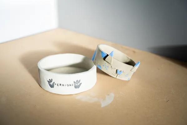 Modelez une gamelle unique pour votre animal de compagnie avec Mariatou - Afbeelding nr. 5 - Wecandoo