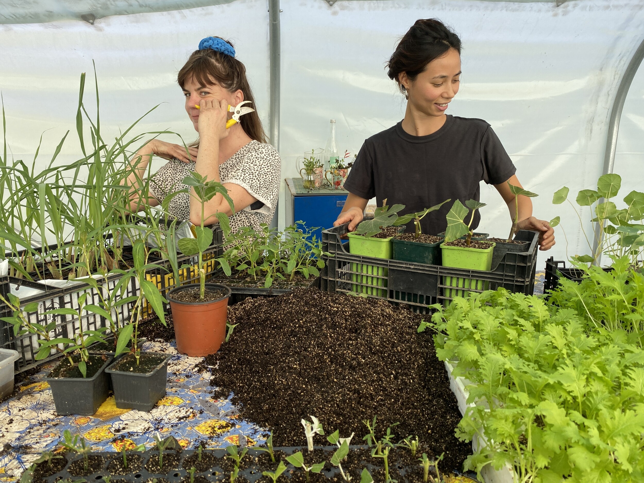 Wecandoo - Réalisez vos semis et boutures de plantes aromatiques avec Joséphine et Juliette - Afbeelding nr. 2