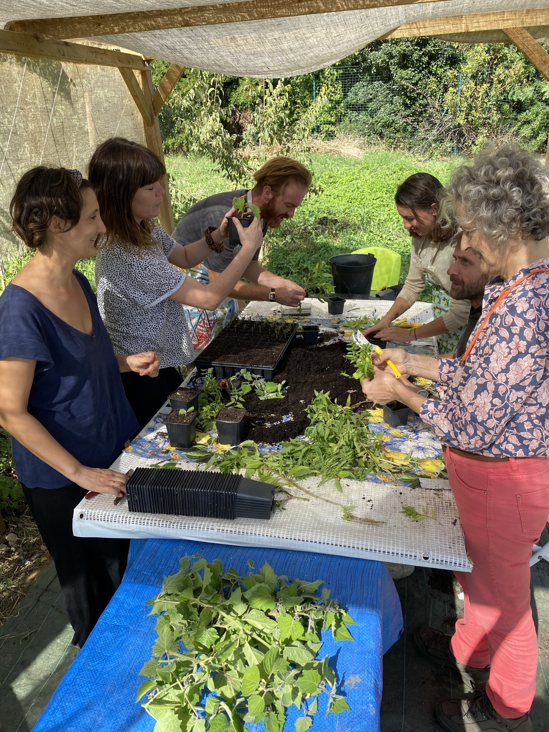 Wecandoo - Réalisez vos semis et boutures de plantes aromatiques avec Joséphine et Juliette - Afbeelding nr. 7