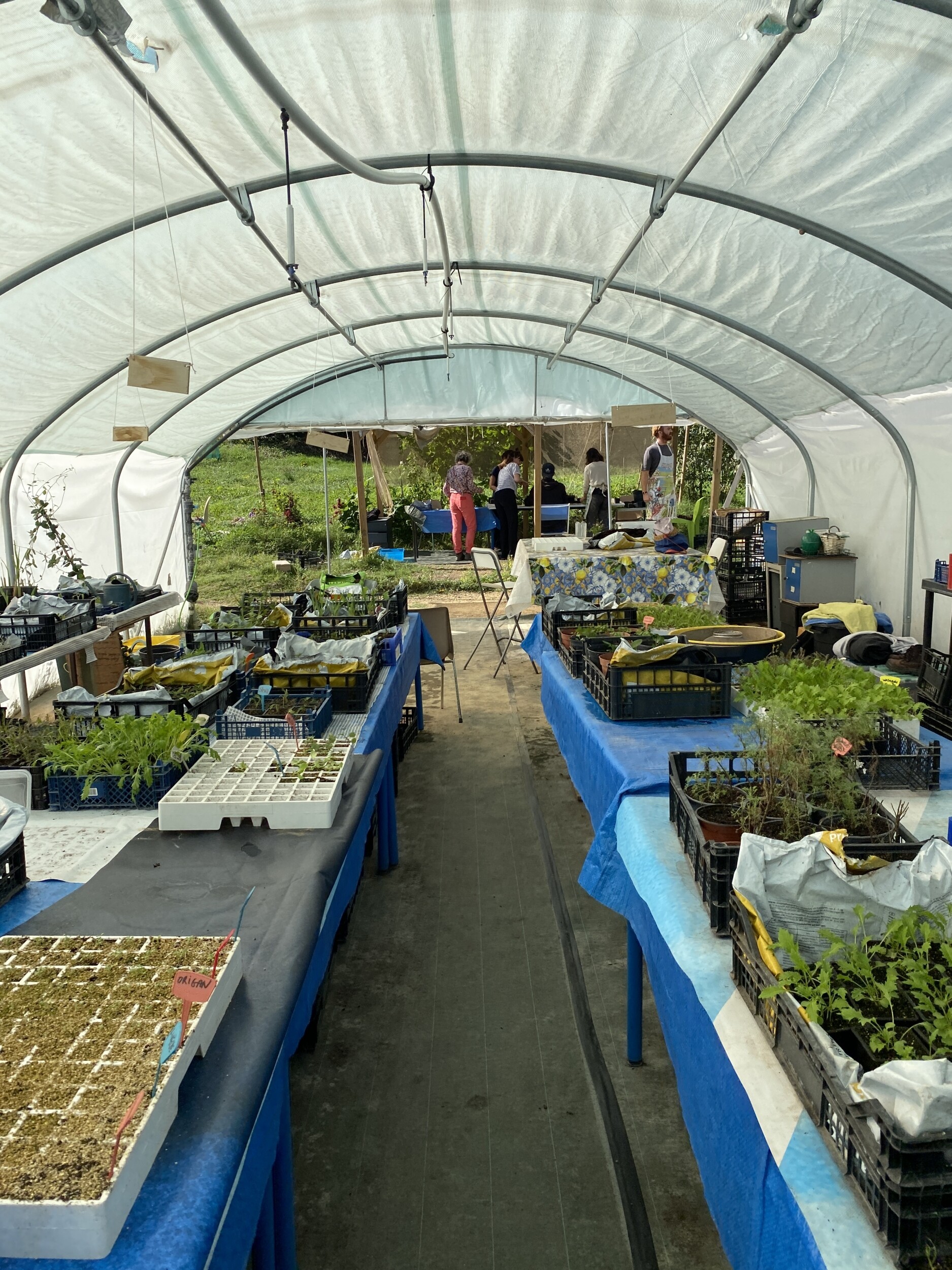 Wecandoo - Réalisez vos semis et boutures de plantes aromatiques avec Joséphine et Juliette - Afbeelding nr. 9