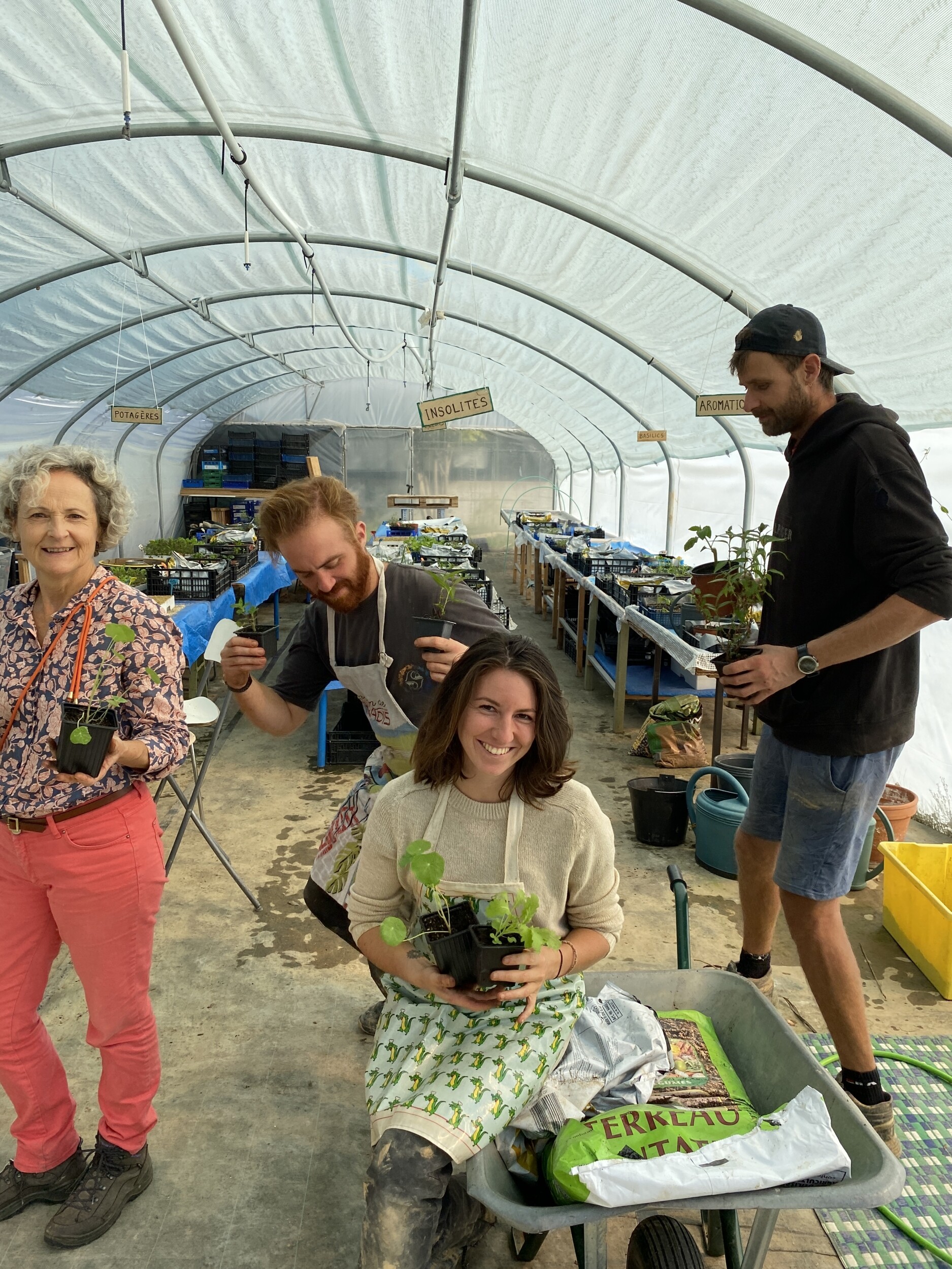 Wecandoo - Réalisez vos semis et boutures de plantes aromatiques avec Joséphine et Juliette - Afbeelding nr. 5