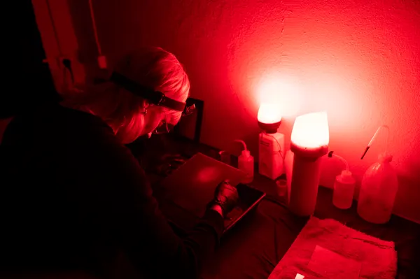 Découvrez la technique du collodion humide sur 2 jours - Image n°2 - Wecandoo