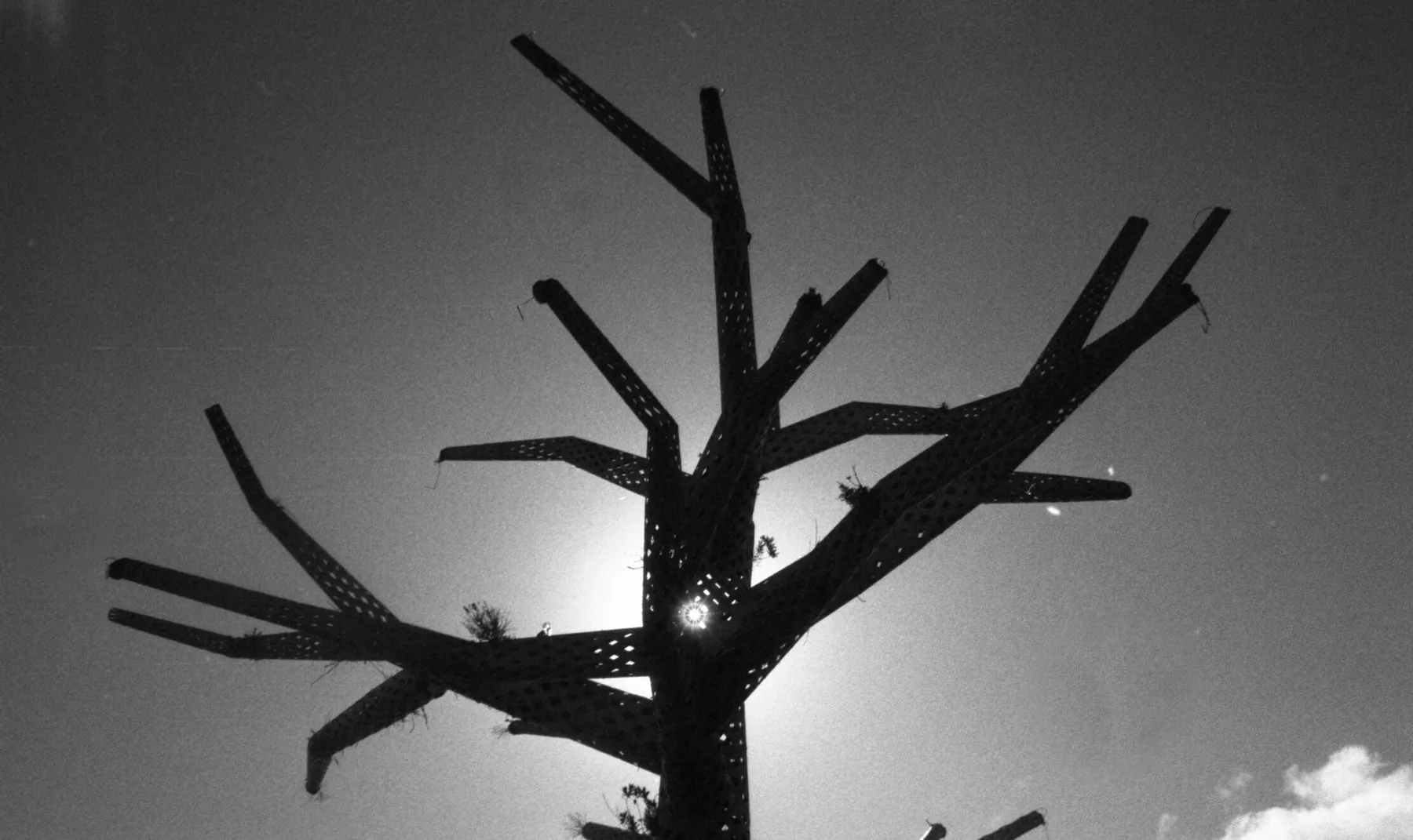 Initiez-vous au développement argentique en noir et blanc - Image n°3 - Wecandoo