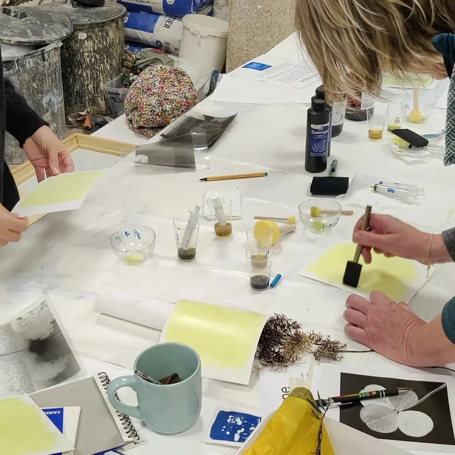 Initiez-vous à l'impression cyanotype - Image n°1 - Wecandoo