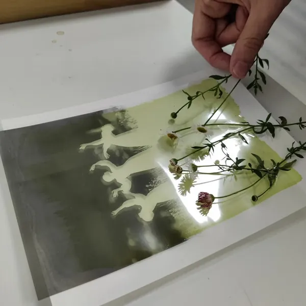 Initiez-vous à l'impression cyanotype - Image n°2 - Wecandoo