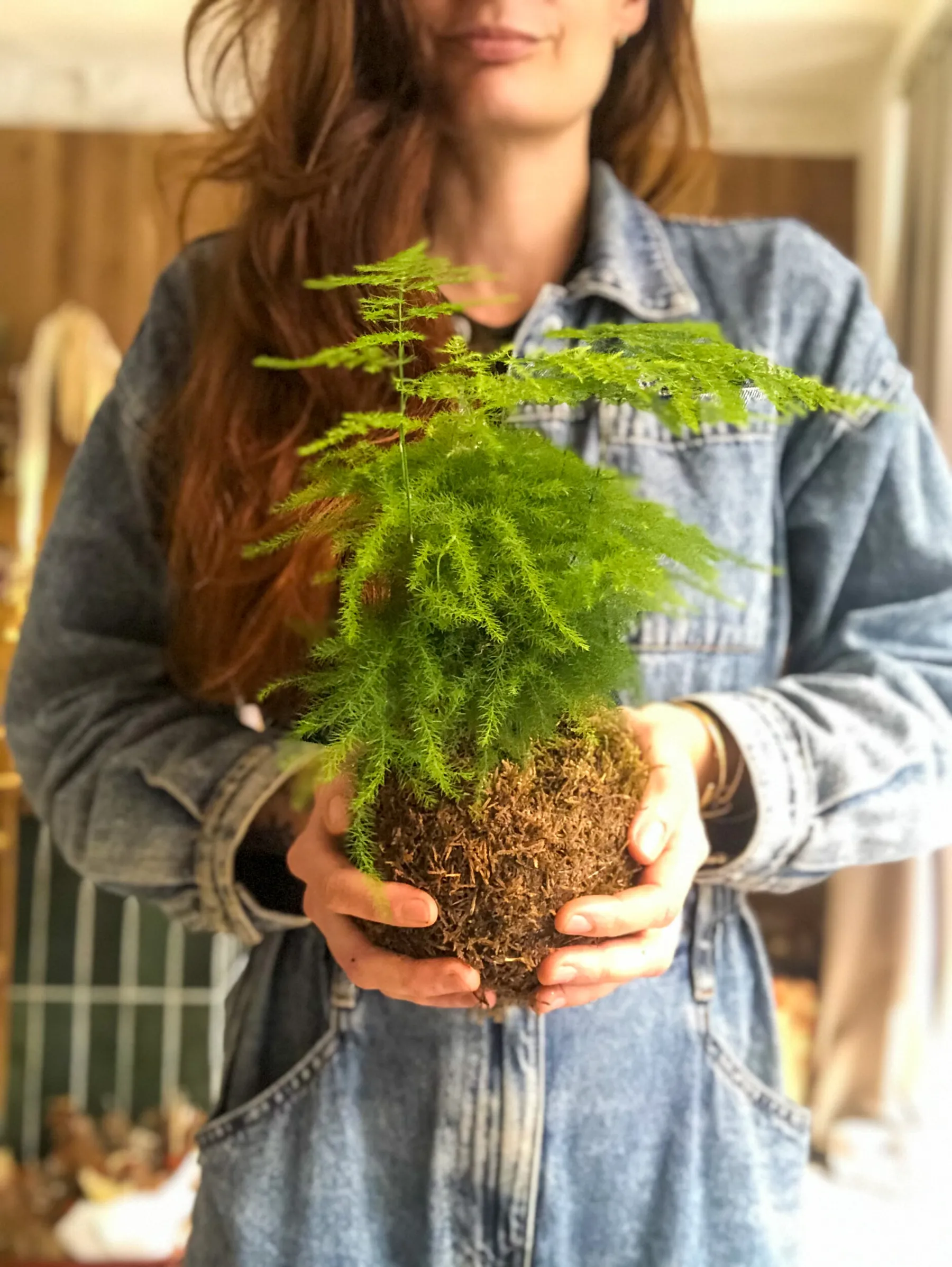 Fabriquez votre kokedama avec Adeline - Image n°1 - Wecandoo