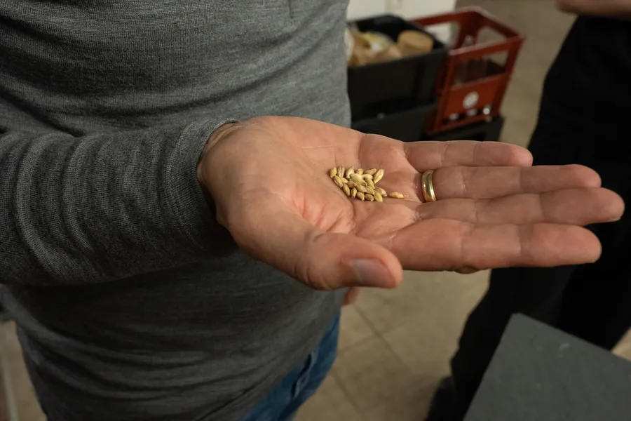 Brassez votre bière artisanale avec Vincent - Afbeelding nr. 1 - Wecandoo