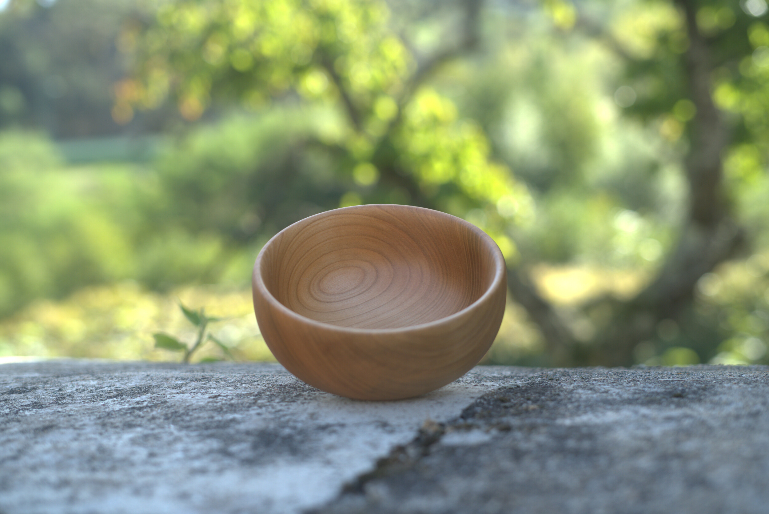 Initiez-vous au tour à bois - 2J