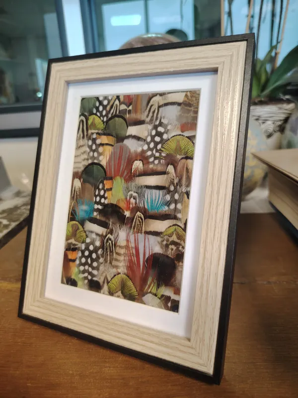 Initiez-vous à la plumasserie - Image n°1 - Wecandoo