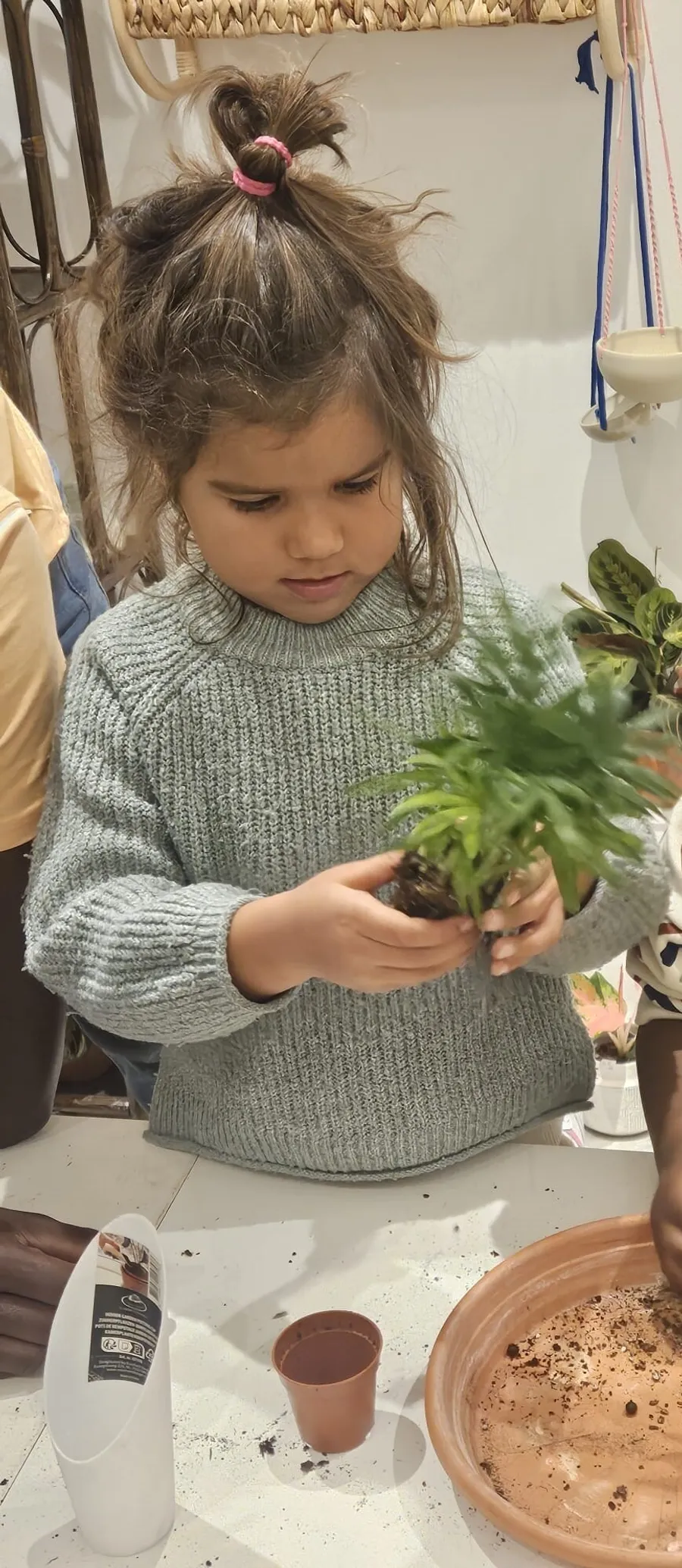 Créez votre kokedama en duo avec votre enfant accompagnés par Roxane - Image n°1 - Wecandoo