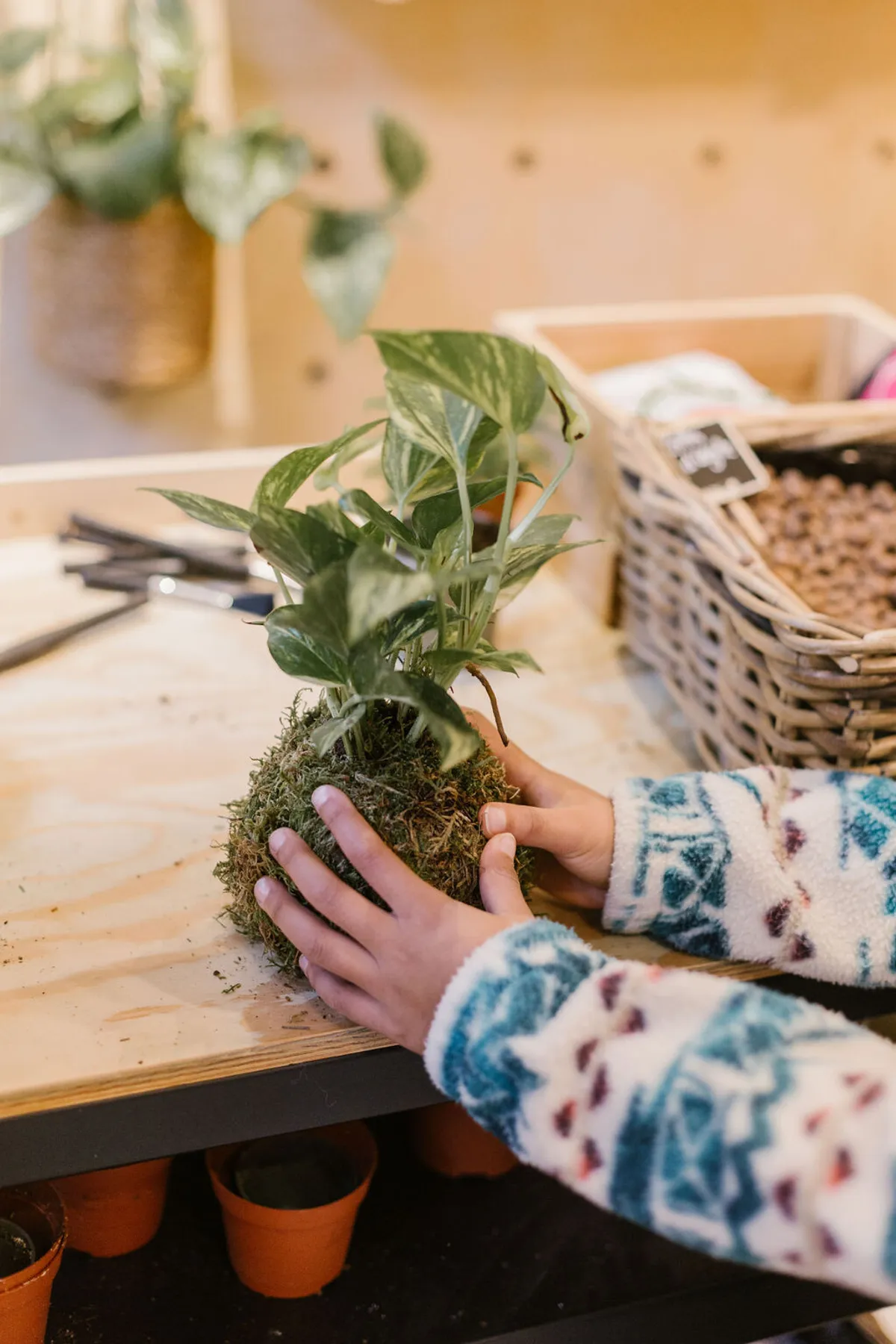 Créez votre kokedama en duo avec votre enfant