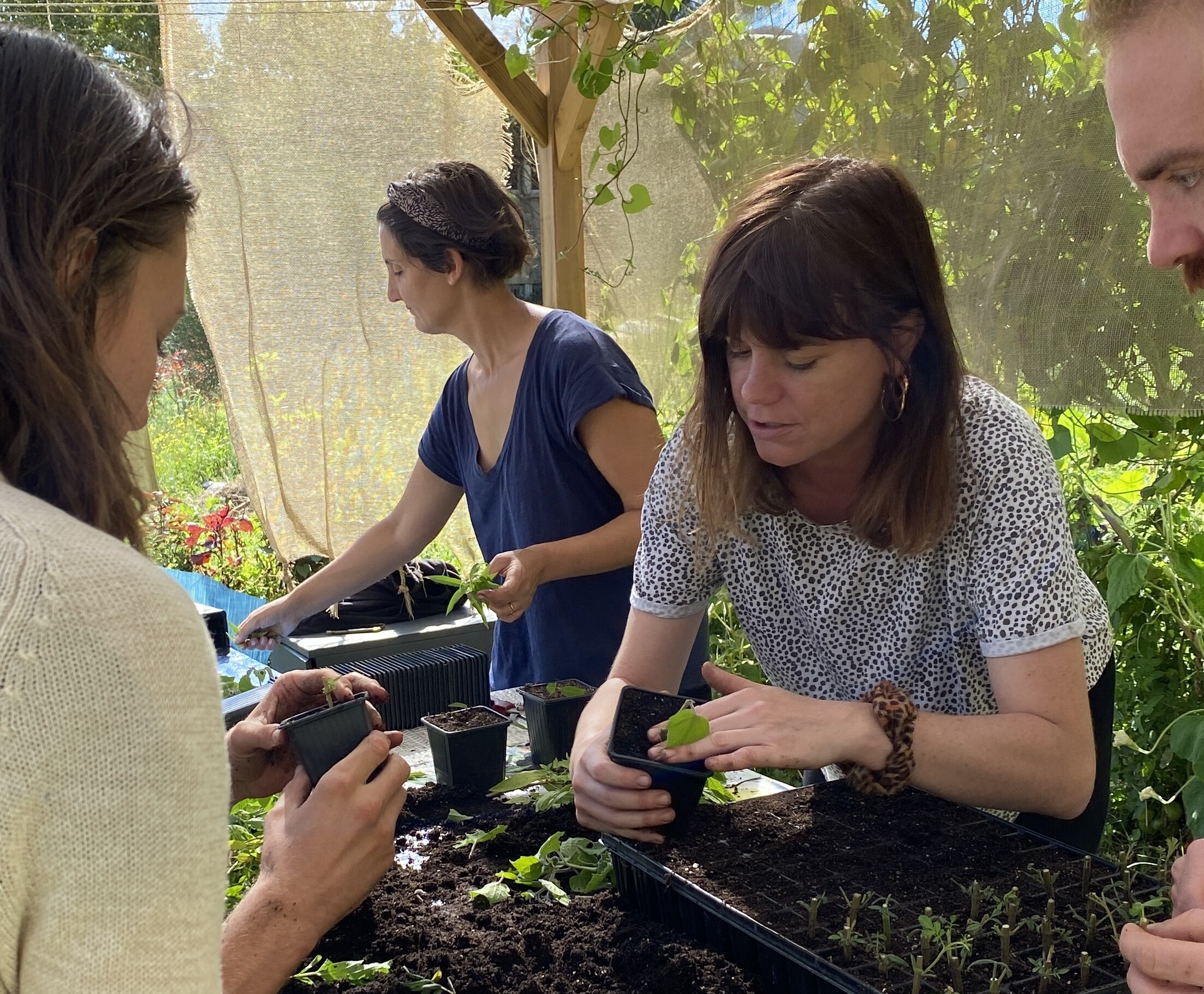 Wecandoo - Réalisez vos semis et boutures de plantes aromatiques atypiques avec Joséphine et Juliette - Image n°5