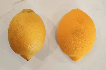 Réalisez vos fruits en trompe l'oeil