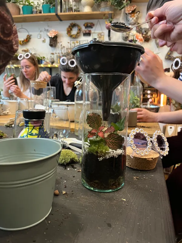 Wecandoo - Créez vos terrariums en groupe