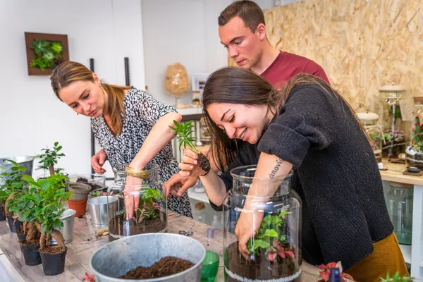 Réunissez votre équipe et réalisez vos terrariums avec Estelle - Image n°2 - Wecandoo