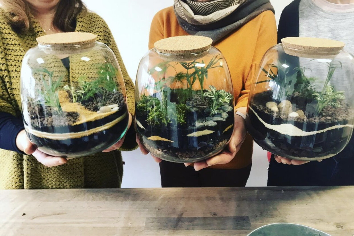 Wecandoo - Réunissez votre équipe et réalisez vos terrariums avec Estelle - Image n°6