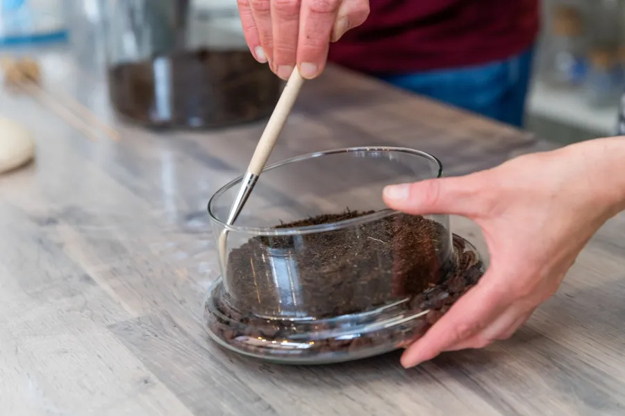 Réunissez votre équipe et réalisez vos terrariums avec Estelle - Image n°1 - Wecandoo