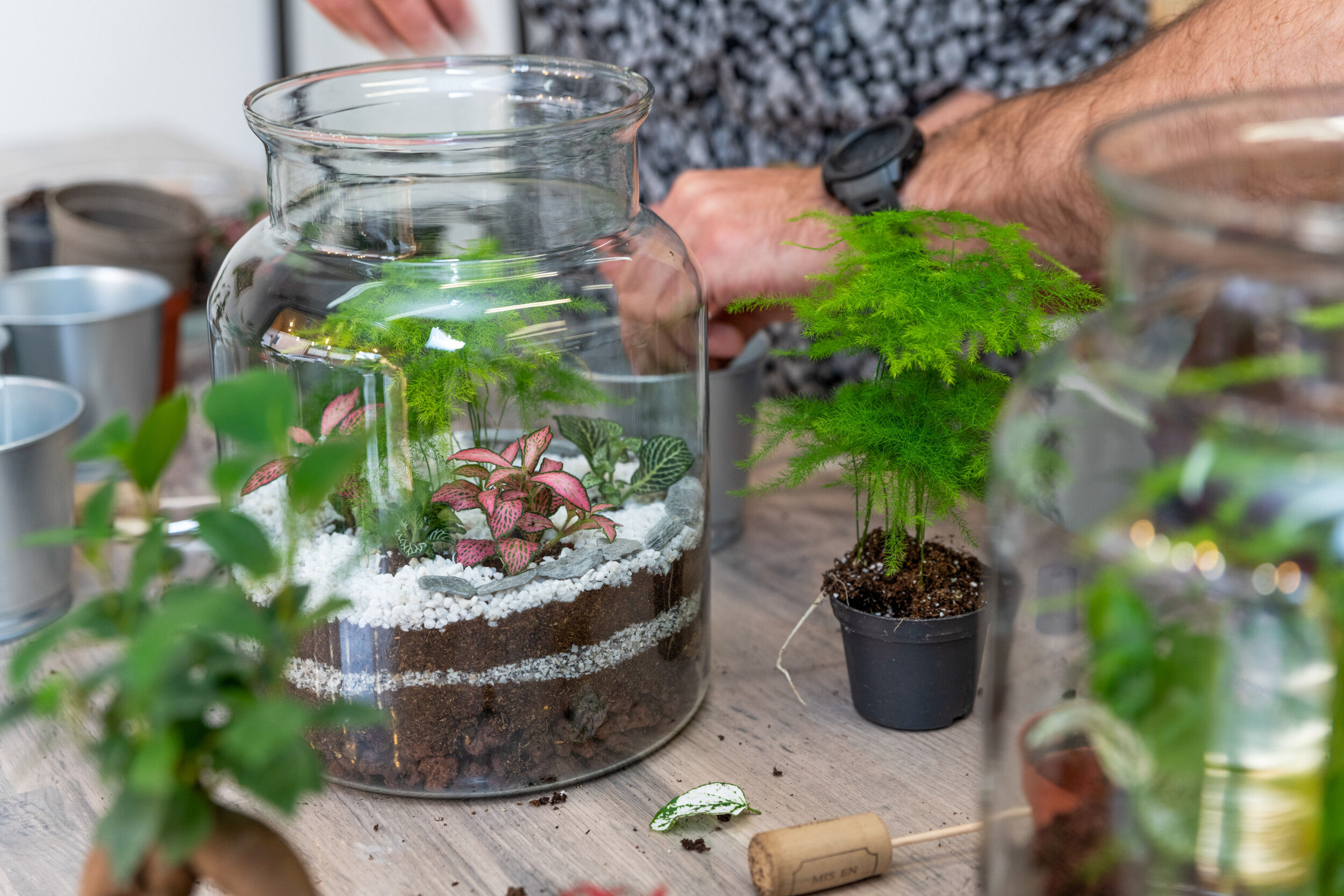 Wecandoo - Réunissez votre équipe et réalisez vos terrariums avec Estelle - Image n°8