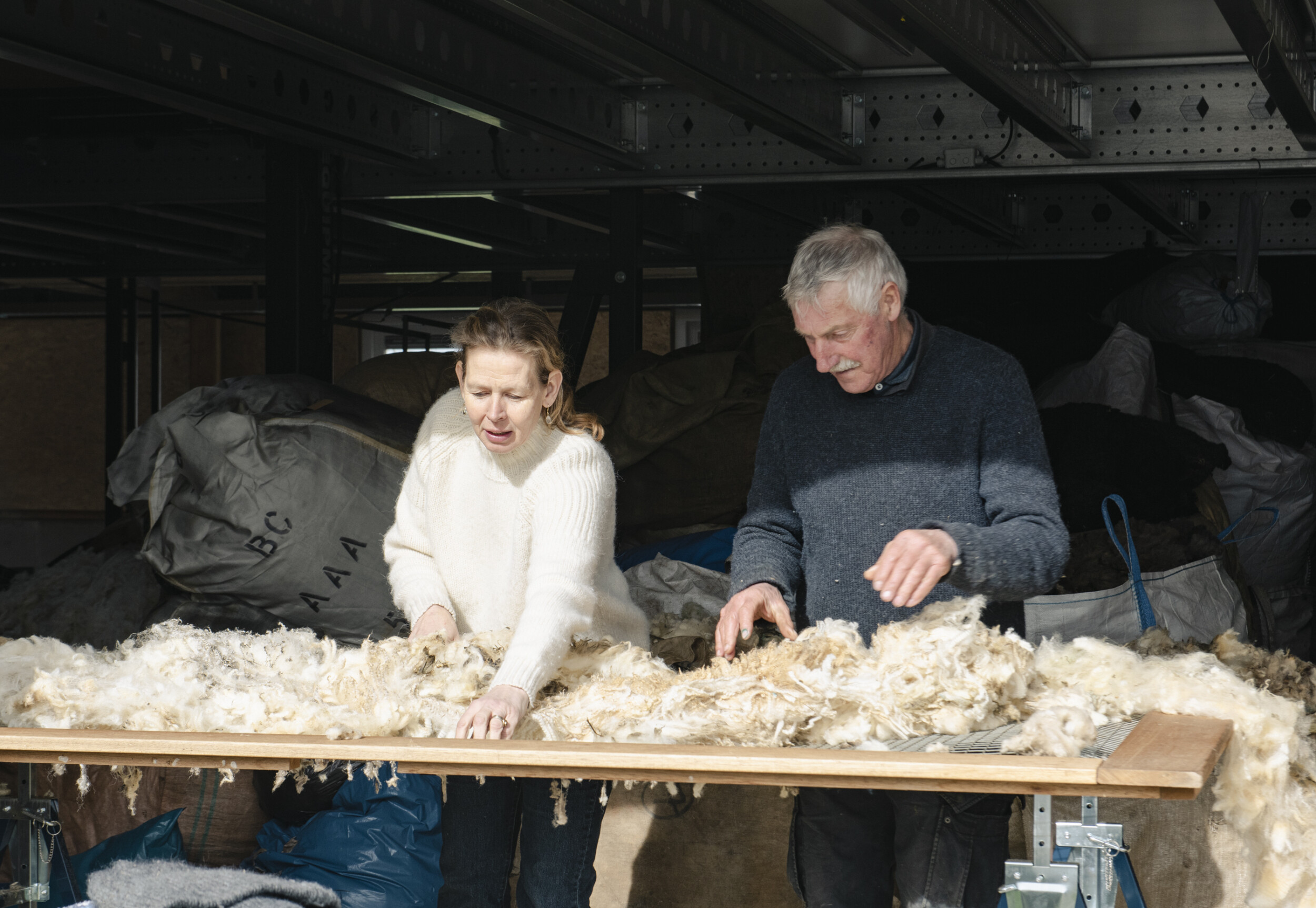 Wecandoo - Discover Dutch wool production and knit your own hat at The Knitwit Stable - Image n°3