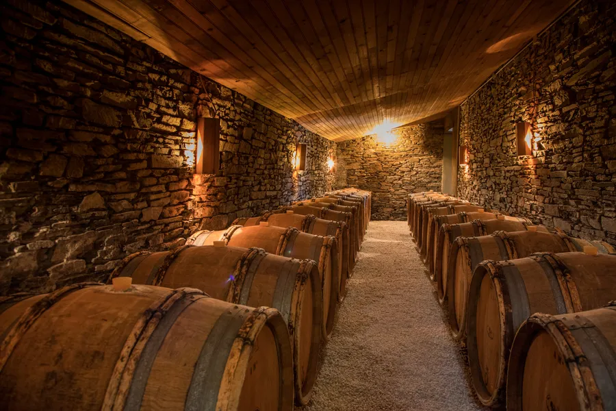 Rassemblez votre équipe, réalisez et dégustez votre cuvée de vin avec Alizé et son équipe - Image n°1 - Wecandoo