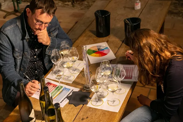 Rassemblez votre équipe, réalisez et dégustez votre cuvée de vin avec Alizé et son équipe - Image n°5 - Wecandoo