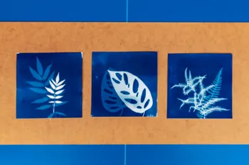 Initiez-vous au cyanotype