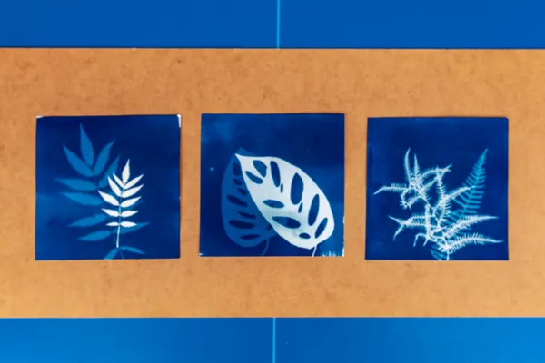 Wecandoo - Initiez-vous au cyanotype