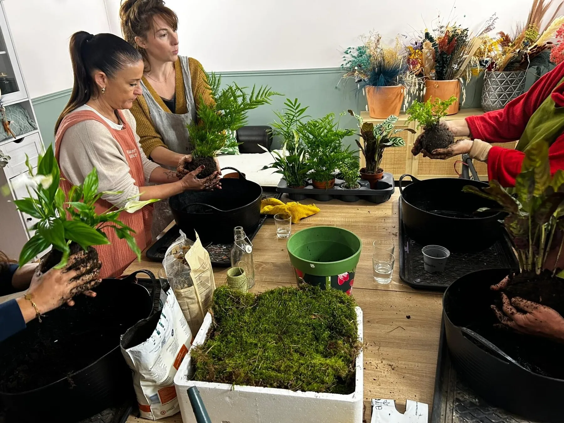 Fabriquez votre kokedama avec Emmanuelle - Image n°4 - Wecandoo