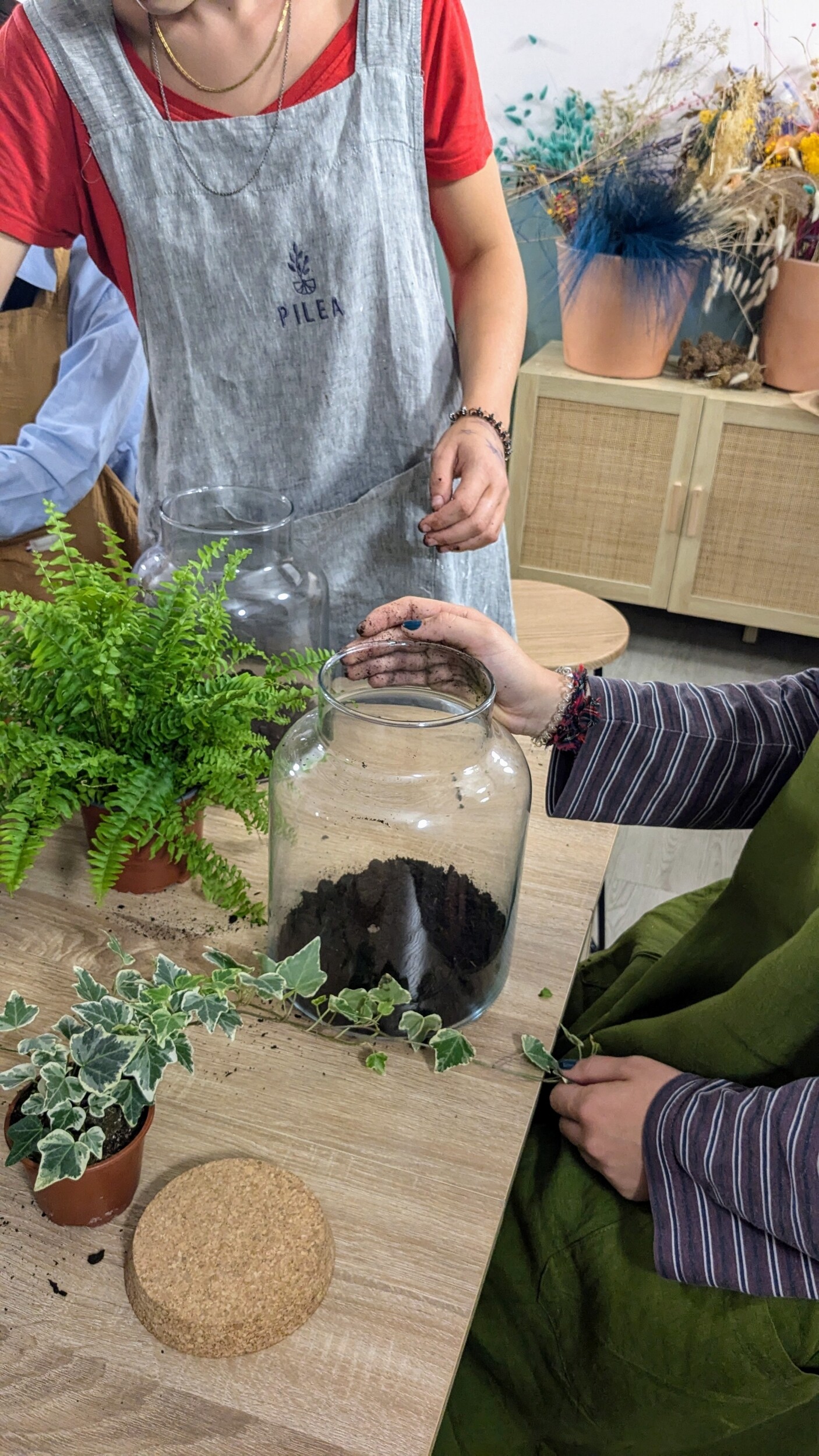 Wecandoo - Composer votre terrarium avec Emmanuelle - Image n°9