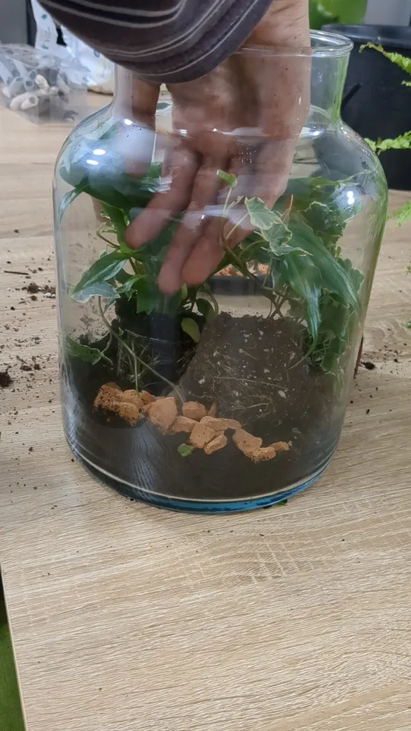 Composer votre terrarium avec Emmanuelle - Image n°3 - Wecandoo