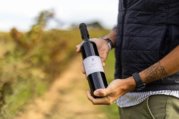 Assemblez votre bouteille de vin avec Lisa - Afbeelding nr. 4 - Wecandoo