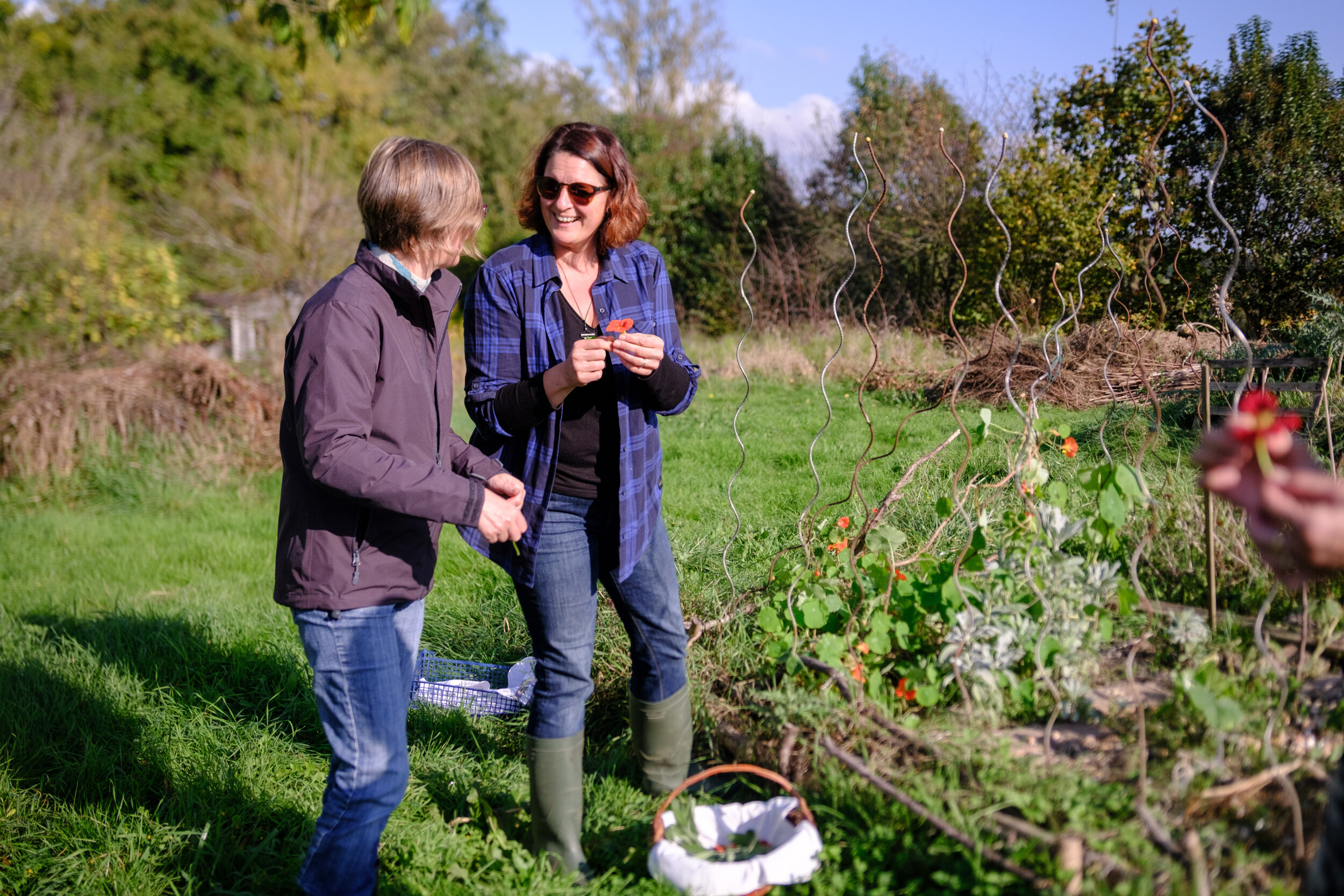 Wecandoo - Réalisez votre macérât huileux naturel avec Dorianne - Image n°6