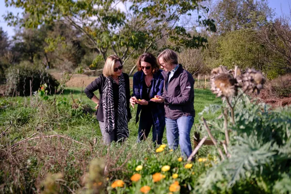Créez votre tisane à partir du champ avec Dorianne - Afbeelding nr. 5 - Wecandoo