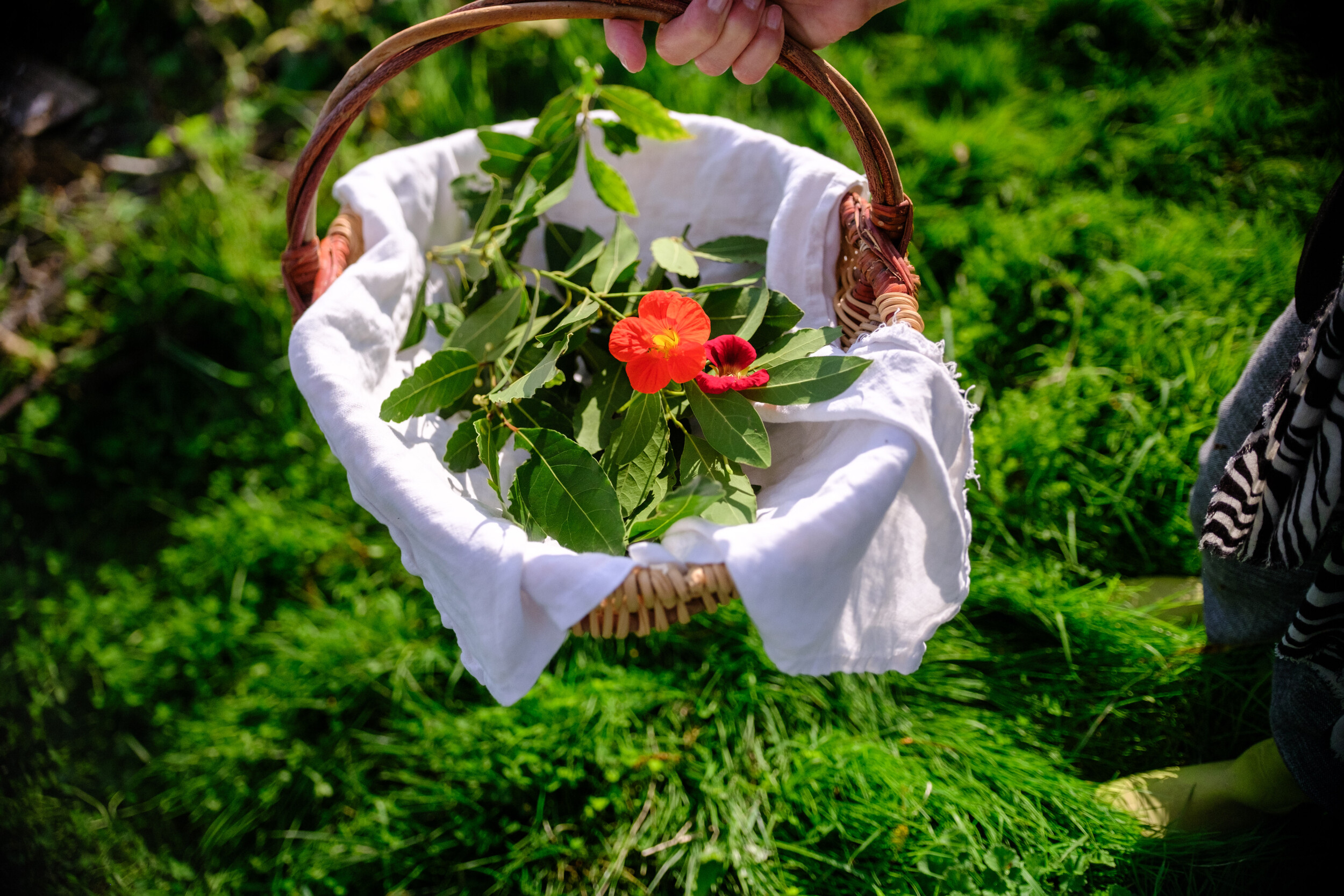 Wecandoo - Réalisez votre macérât huileux naturel avec Dorianne - Image n°2