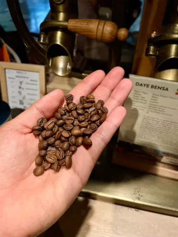 Découvrez le café de spécialité