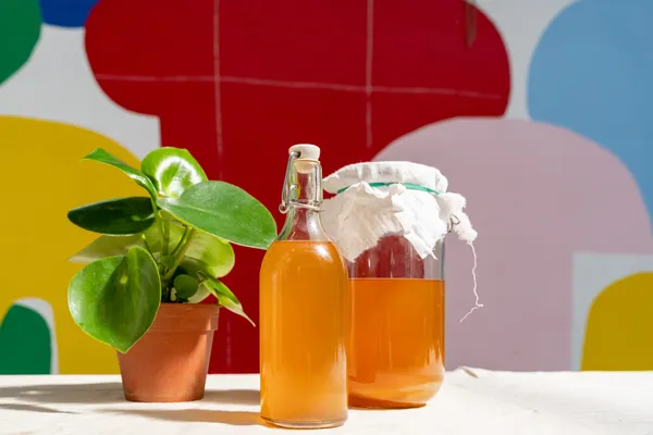 Rassemblez votre équipe et réalisez votre propre kombucha avec Esther et Ghita - Image n°4 - Wecandoo