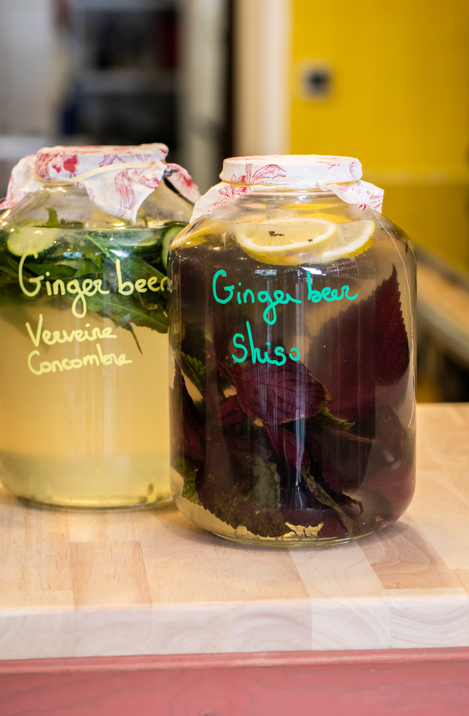 Réalisez votre propre ginger beer en groupe