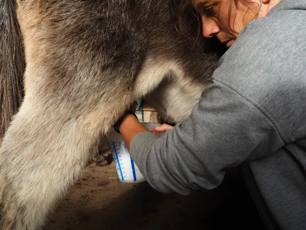Rassemblez votre équipe et réalisez vos savons au lait d'ânesse avec Morgane - Image n°3 - Wecandoo