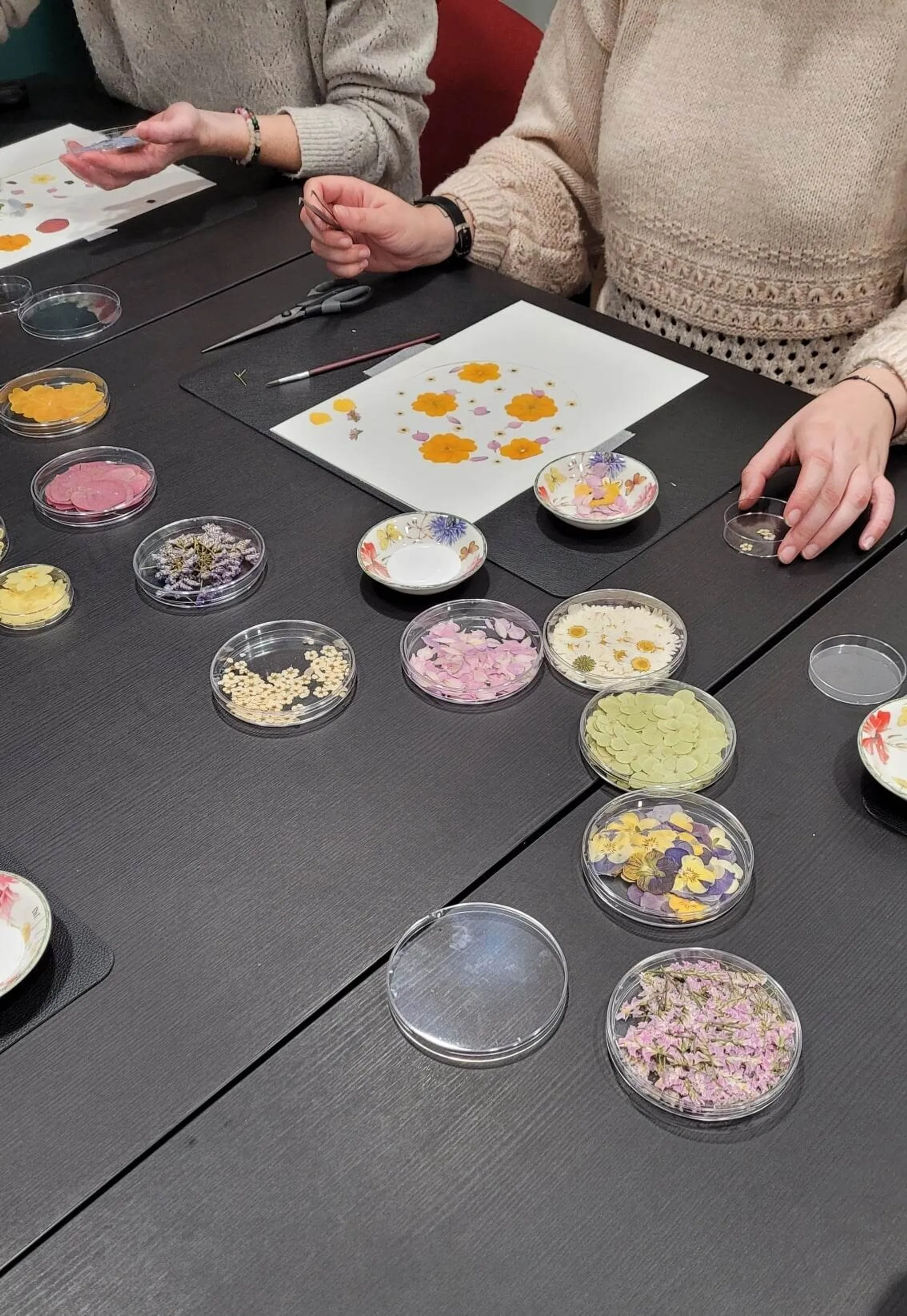 Enchantez votre équipe et réalisez votre herbier en prenant l'apéro avec Julie - Afbeelding nr. 1 - Wecandoo