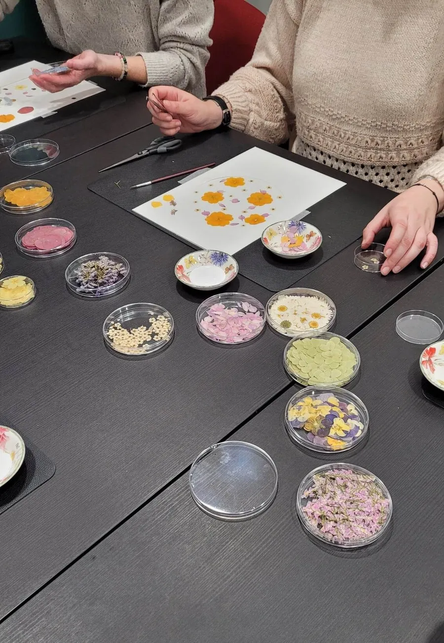 Enchantez votre équipe et réalisez votre herbier en prenant l'apéro avec Julie - Image n°1 - Wecandoo