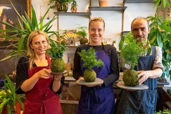 Créez votre kokedama en groupe