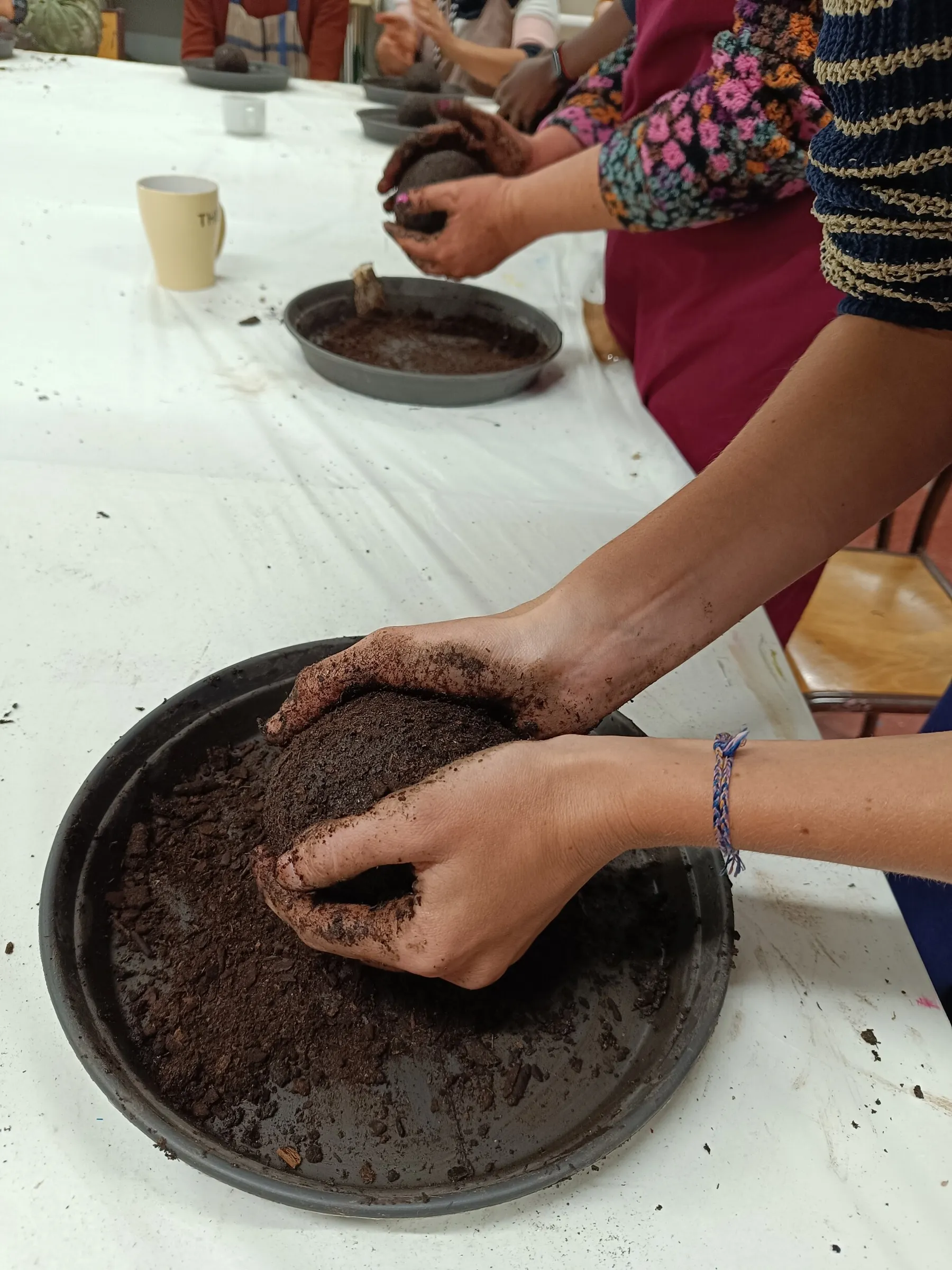 Enchantez votre équipe et créez chacun votre kokedama avec Françoise - Image n°1 - Wecandoo