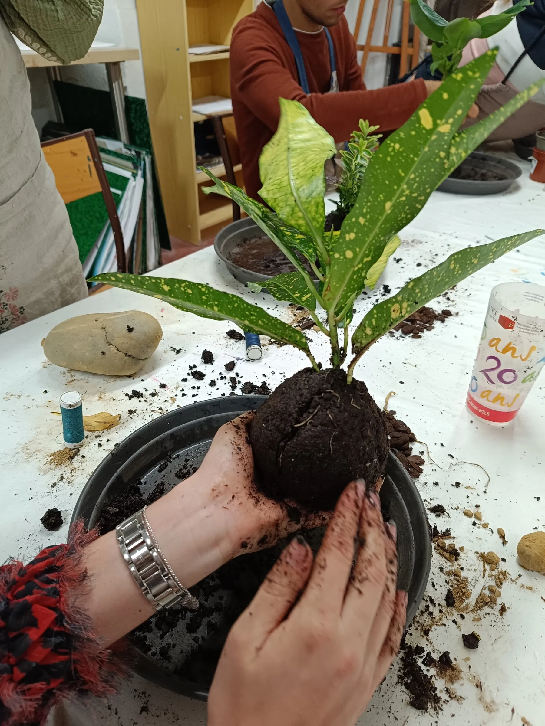 Enchantez votre équipe et créez chacun votre kokedama avec Françoise - Image n°3 - Wecandoo
