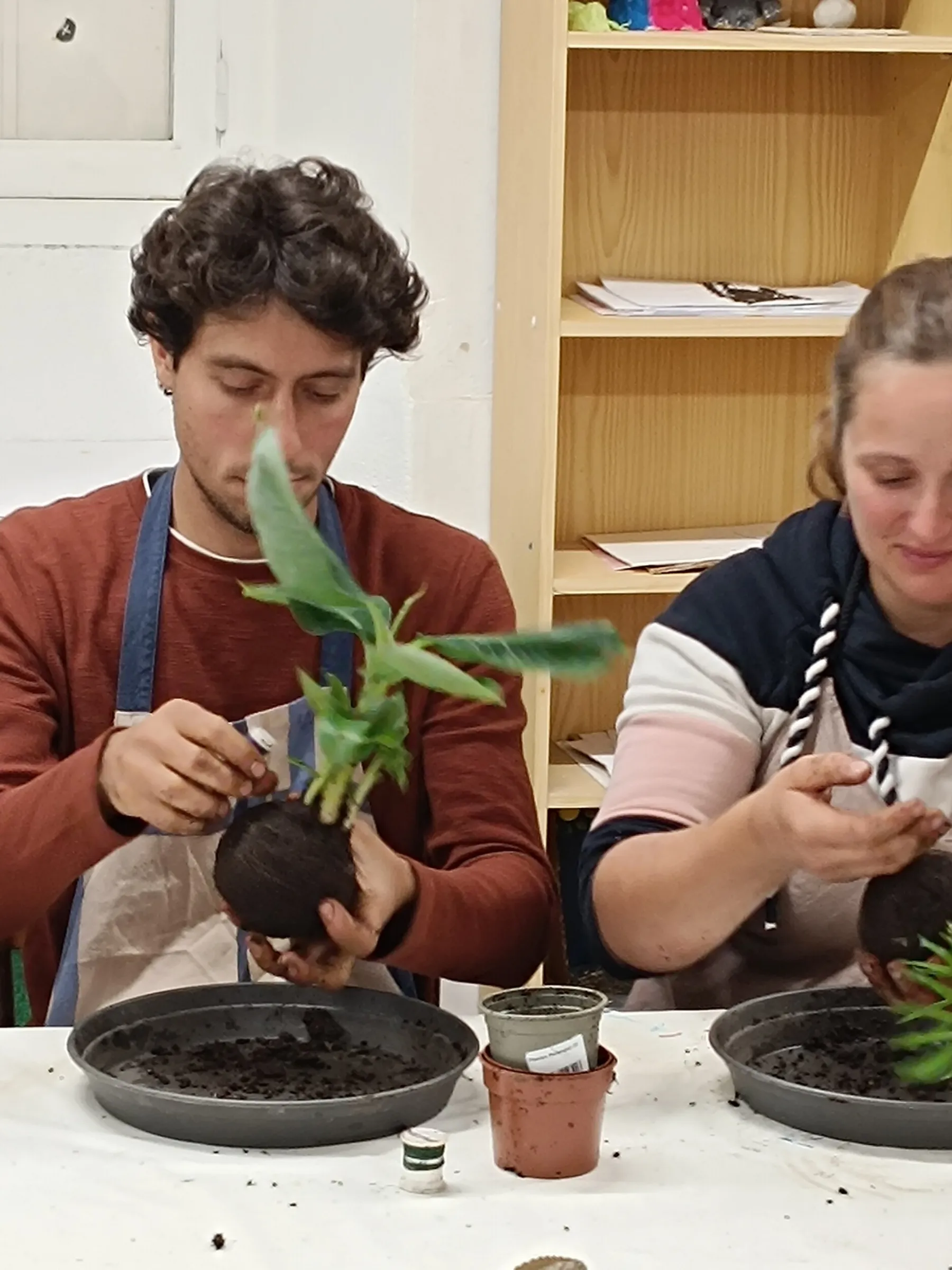 Enchantez votre équipe et créez chacun votre kokedama avec Françoise - Image n°4 - Wecandoo