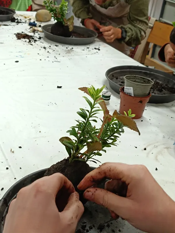 Enchantez votre équipe et créez chacun votre kokedama avec Françoise - Image n°5 - Wecandoo