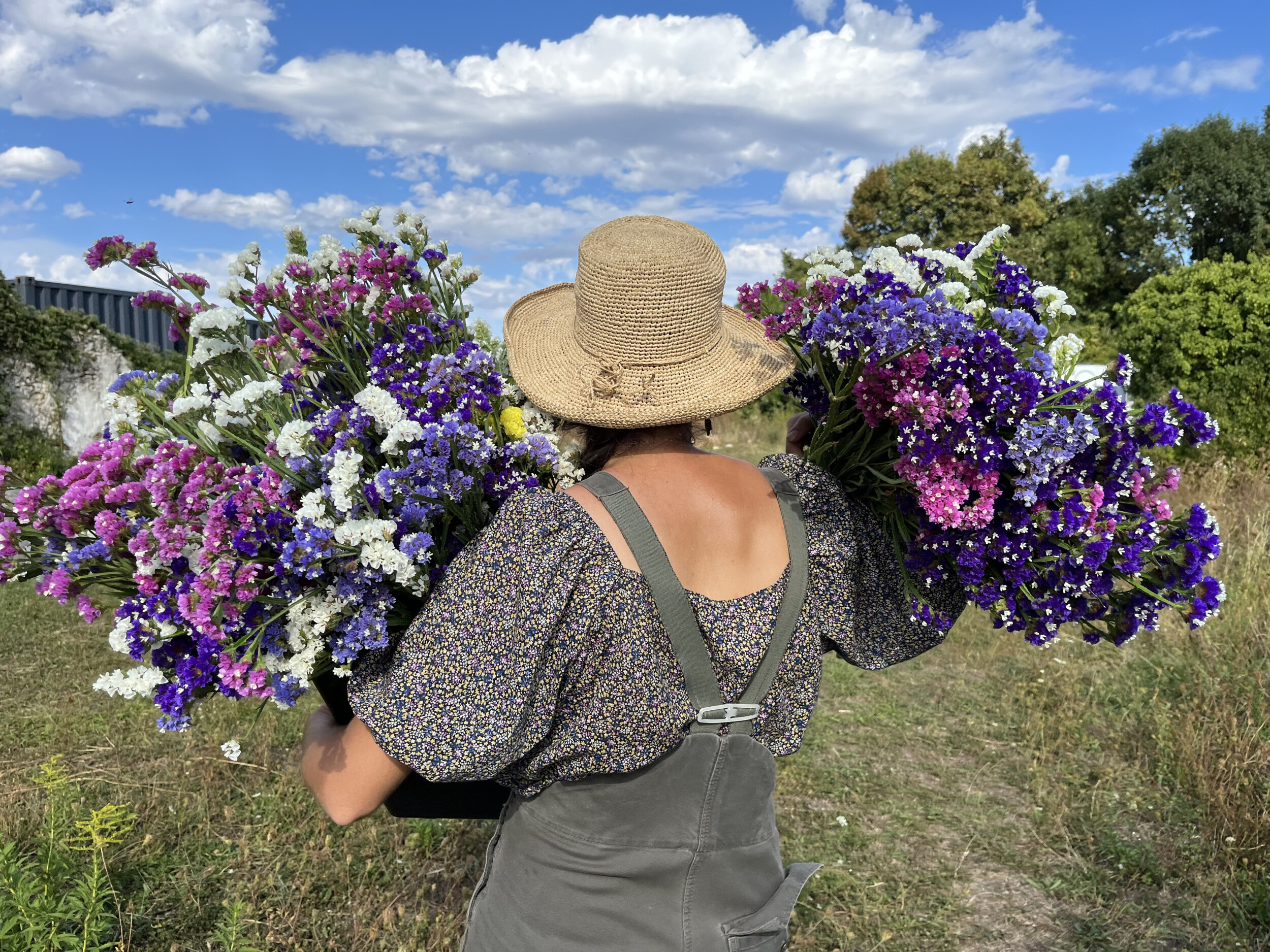 Wecandoo - Composez votre bouquet de fleurs séchées 100% naturelles avec Sophie et l'équipe de la ferme florale - Image n°3