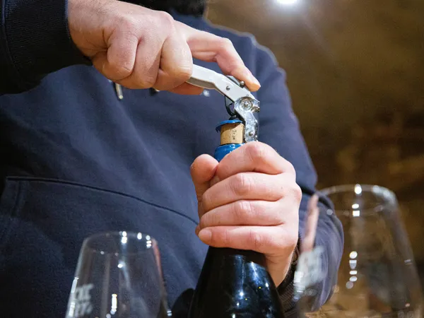 Dégustez des accords mets et vins au cœur du Beaujolais avec Raphaëlle - Image n°4 - Wecandoo