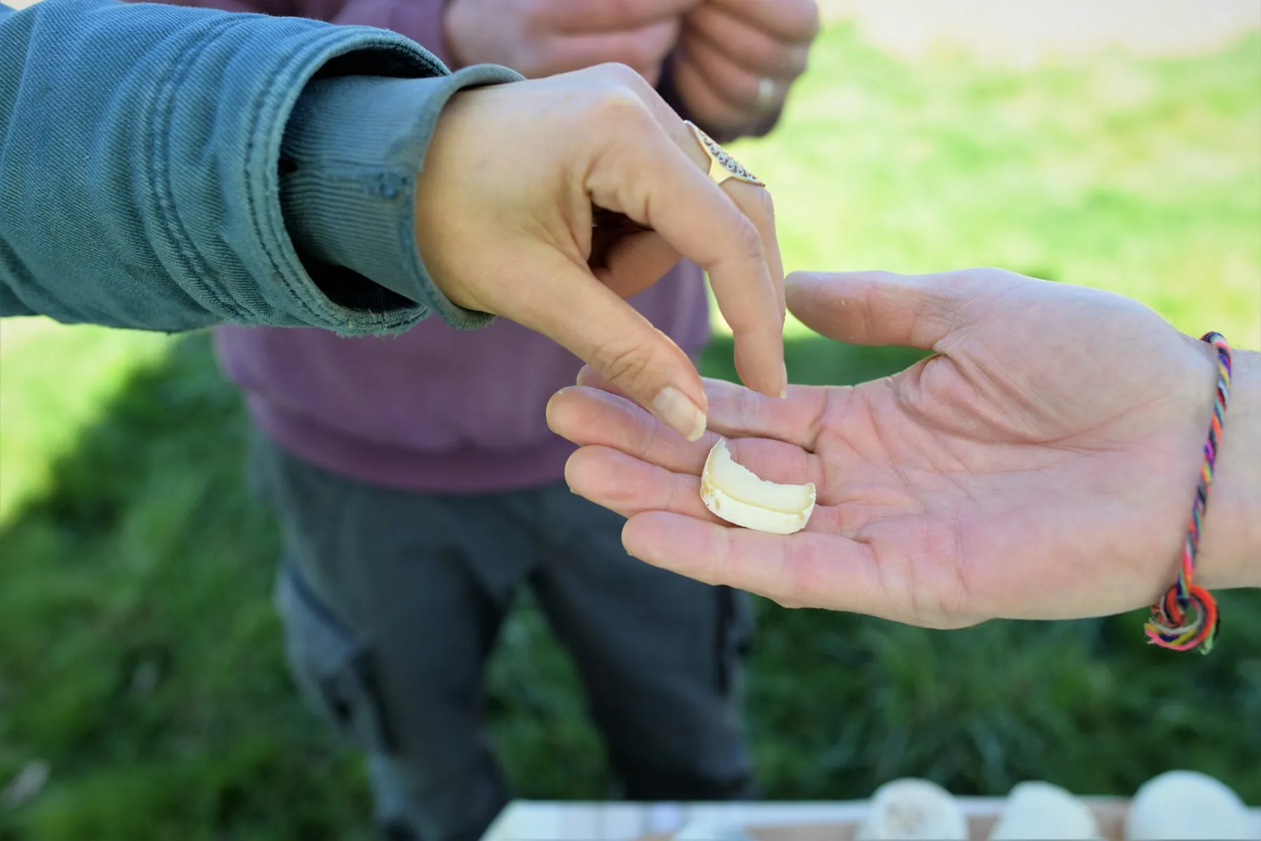 Dégustez de délicieux accords fromages et vins avec Catherine et Benoît - Image n°2 - Wecandoo