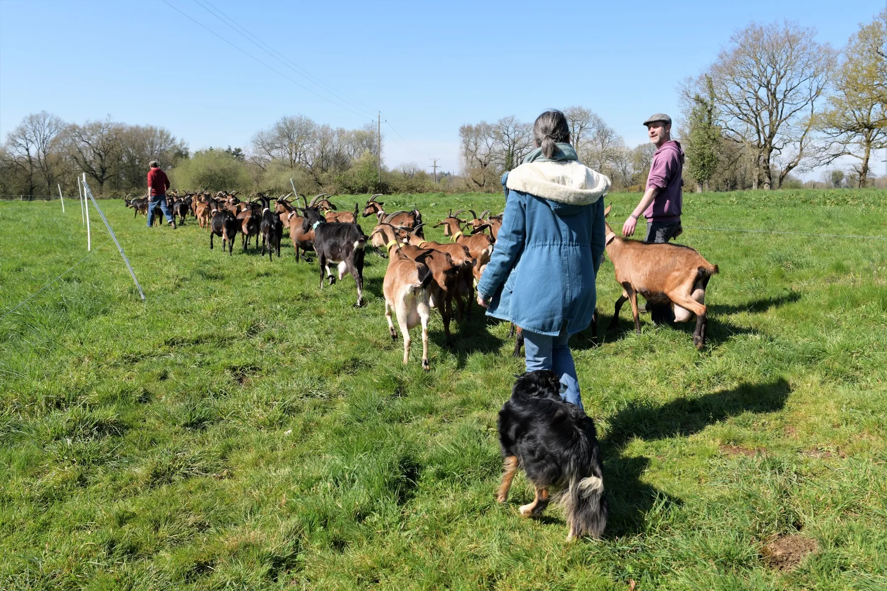 Dégustez de délicieux accords fromages et vins avec Catherine et Benoît - Image n°3 - Wecandoo